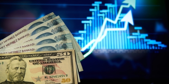 Dolar Kuru 49,1630 Seviyesine Ulaşarak Tarihi Zirvesini Yeniledi