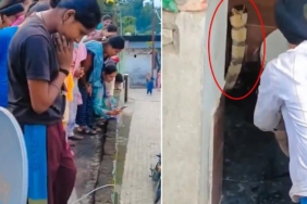 Hindistan'da Bir Evin Klozetinde Görülen Dev Kobra Yılanı Mahallede Panik Yarattı