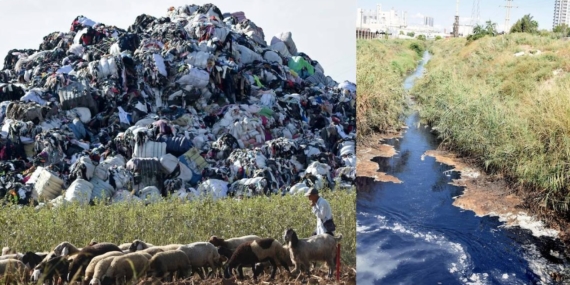Türkiye’de İthal Plastik Atık Artışı ve Geri Dönüşüm Sektörü Çevre Risklerini Büyütüyor